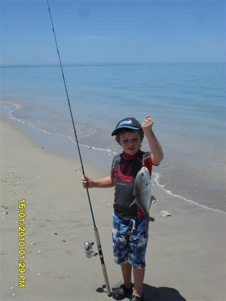 Alex's Trevally